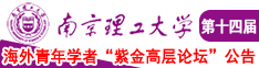 肏贱逼骚屁股南京理工大学第十四届海外青年学者紫金论坛诚邀海内外英才！